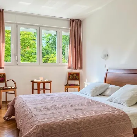 Apartmán Ladovina *